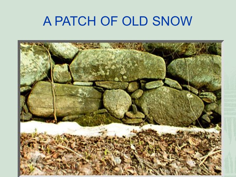 A PATCH OF OLD SNOW